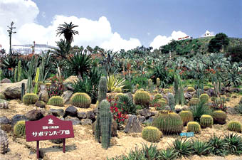 サボテンハーブ園